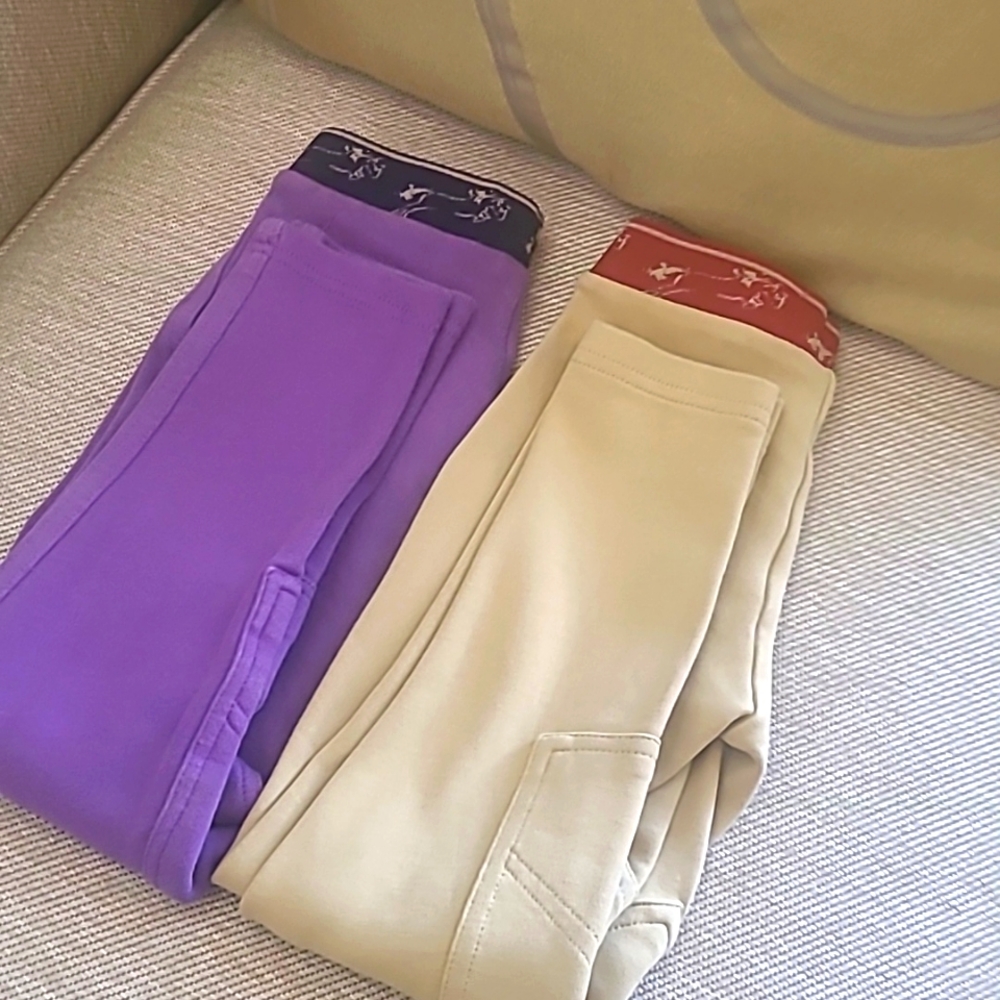 horse riding pants